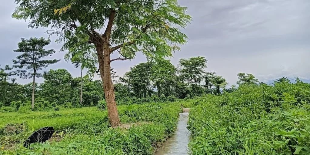 LyfeFarms Image 1